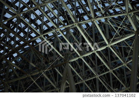 Steel-reinforced roof 137041102