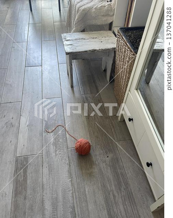 cat's toy on the floor in the room 137041288