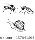 Hand-drawn bumblebee, mosquito, and snail. Vector illustration in black ink on a white background 137041804