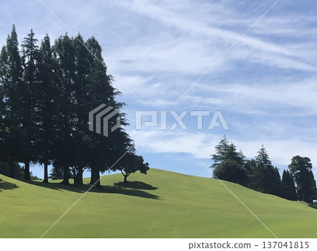 Blue sky green hill ~ Blue sky green hill ~ 137041815