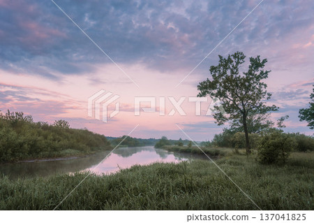 Nature summer sunrise river landscape. Colorful morning sky above calm water and gree tree on the river shore. 137041825