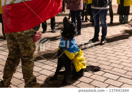 Dog Wearing Ukrainian Colors at Ukraine Rally in Berlin Dog Wearing Ukrainian Colors at Ukraine Rally in Berlin 137041884
