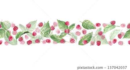 A seamless border with a scattering of raspberries and leaves. Isolated watercolor illustration for herbal tea packaging branding, restaurant menus, kitchenware designs, and postcards. A seamless border with a scattering of raspberries and leaves. Isolated watercolor illustration for herbal tea packaging branding, restaurant menus, kitchenware designs, and postcards. 137042037