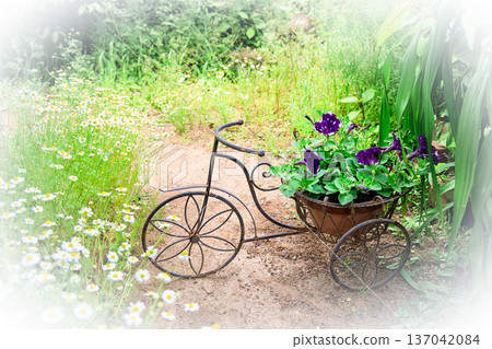 A garden with an antique-style bicycle-shaped flower stand 137042084