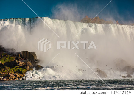 Niagara Falls waterfall with mist clouds and flying birds over powerful cascading water 137042149