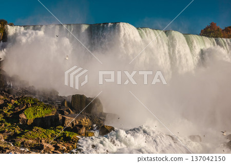 Niagara Falls powerful waterfall close view with mist and rocks at base Niagara Falls powerful waterfall close view with mist and rocks at base 137042150