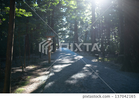 位於三重縣大岐町的瀧原神社（伊勢神宮分社）。清晨的陽光灑在莊嚴肅穆的神社入口處。 137042165