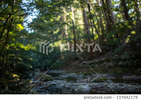 位於三重縣大岐町的瀧原神社(伊勢神宮分社)。清晨的陽光灑在莊嚴肅穆的神社入口處。 位於三重縣大岐町的瀧原神社(伊勢神宮分社)。清晨的陽光灑在莊嚴肅穆的神社入口處。 137042179
