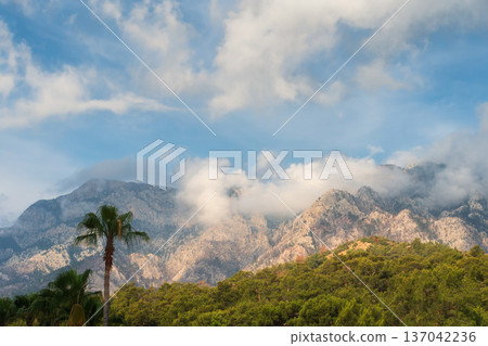 A beautiful mountain landscape in the Kemer region of Turkey. Lush forests and green grass cover the slopes under a morning sky with white clouds and warm sunshine. A beautiful mountain landscape in the Kemer region of Turkey. Lush forests and green grass cover the slopes under a morning sky with white clouds and warm sunshine. 137042236