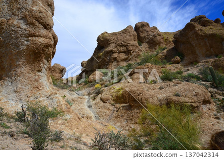 West Border of Tonto National Forest Sonoran Desert Arizona West Border of Tonto National Forest Sonoran Desert Arizona 137042314