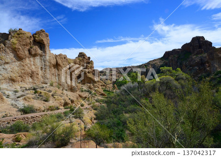 West Border of Tonto National Forest Sonoran Desert Arizona 137042317