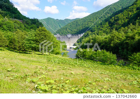 The embankment of the Satsunaigawa Dam as seen from the downstream plaza of the Satsunaigawa Dam The embankment of the Satsunaigawa Dam as seen from the downstream plaza of the Satsunaigawa Dam 137042660