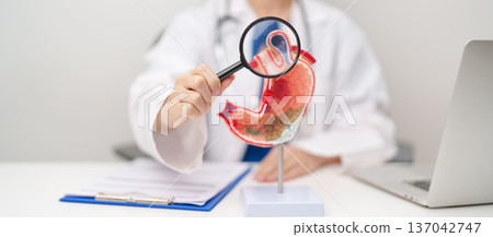 Doctor with Gastric anatomy model. Gastroenterologist consultation, stomach diseases and ulcers, November stomach cancer, Gastroesophageal Reflux Disease, GERD, Acid reflux and healthcare medical Doctor with Gastric anatomy model. Gastroenterologist consultation, stomach diseases and ulcers, November stomach cancer, Gastroesophageal Reflux Disease, GERD, Acid reflux and healthcare medical 137042747