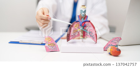 Doctor with Smoker Lung anatomy with magnifying glass. Lung Cancer, Asthma, Chronic Obstructive Pulmonary or COPD, Bronchitis, Emphysema, Cystic Fibrosis, Bronchiectasis, Pneumonia and world Lung day 137042757