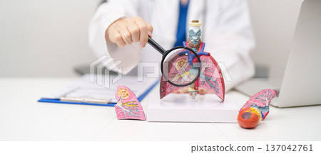 Doctor with Smoker Lung anatomy with magnifying glass. Lung Cancer, Asthma, Chronic Obstructive Pulmonary or COPD, Bronchitis, Emphysema, Cystic Fibrosis, Bronchiectasis, Pneumonia and world Lung day 137042761