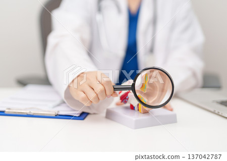 Doctor with human Ear anatomy model. Ear disease, Atresia, Otitis Media, Pertorated Eardrum, Meniere syndrome, otolaryngologist, Ageing Hearing Loss, Schwannoma and Healthcare medical concept 137042787