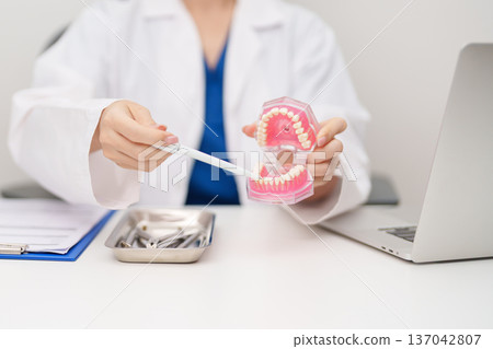 Dentist with tooth Anatomy model. Oral Teeth and disease, Scrape off tartar. March Oral health, Dentist Day, False Teeth. Toothache and Children Dental Health Month and Orthodontic Health Day Dentist with tooth Anatomy model. Oral Teeth and disease, Scrape off tartar. March Oral health, Dentist Day, False Teeth. Toothache and Children Dental Health Month and Orthodontic Health Day 137042807