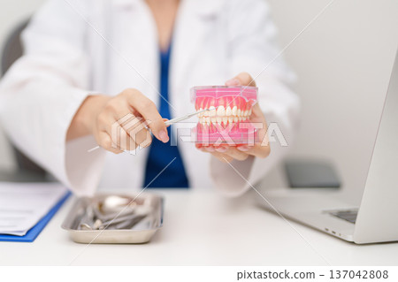 Dentist with tooth Anatomy model. Oral Teeth and disease, Scrape off tartar. March Oral health, Dentist Day, False Teeth. Toothache and Children Dental Health Month and Orthodontic Health Day Dentist with tooth Anatomy model. Oral Teeth and disease, Scrape off tartar. March Oral health, Dentist Day, False Teeth. Toothache and Children Dental Health Month and Orthodontic Health Day 137042808