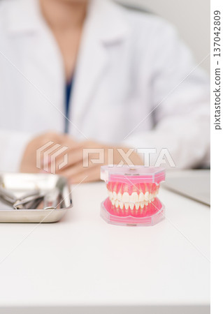 Dentist with tooth Anatomy model. Oral Teeth and disease, Scrape off tartar. March Oral health, Dentist Day, False Teeth. Toothache and Children Dental Health Month and Orthodontic Health Day 137042809