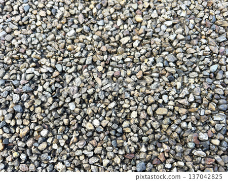 close up of the ground 137042825