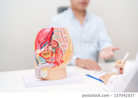 Doctor with Male Reproductive System anatomy model. Male consultation, Prostate Cancer, Enlarged prostate, Prostatitis disease, Male Infertility, Erectile dysfunction, Penis and Male genital disorder Doctor with Male Reproductive System anatomy model. Male consultation, Prostate Cancer, Enlarged prostate, Prostatitis disease, Male Infertility, Erectile dysfunction, Penis and Male genital disorder 137042837