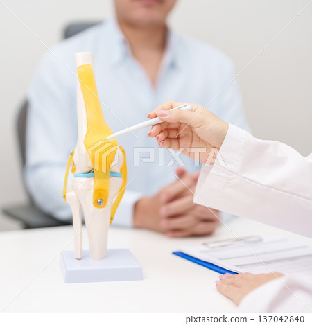 Doctor with Human Knee joint anatomy model. Osteoarthritis, Patellofemoral Pain Syndrome, Patellar Tendinitis, ACL, Anterior Cruciate Ligament, PCL, Posterior, MCL, Medial Collateral, LCL and Lateral 137042840