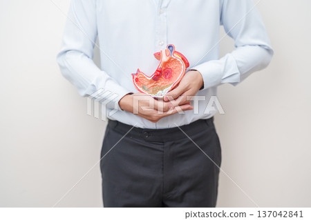 Man having abdomen pain or Stomachache with Gastric anatomy model. stomach diseases and ulcers, Gastroesophageal Reflux, November stomach cancer, Gastroenterologist consultation and Acid reflux 137042841