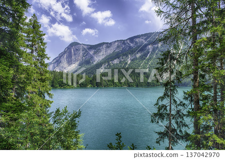 Crystal clear water of Lake Tovel, Trentino Alto Adige, Italy Crystal clear water of Lake Tovel, Trentino Alto Adige, Italy 137042970