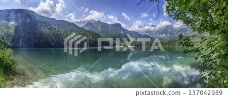 Crystal clear water of Lake Tovel, Trentino Alto Adige, Italy Crystal clear water of Lake Tovel, Trentino Alto Adige, Italy 137042989
