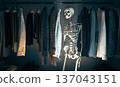 Skeleton in the closet representing hidden secrets 3d 137043151