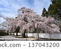 醍醐寺 137043200