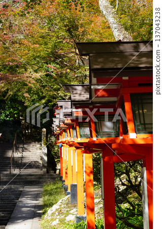 The approach to Kyoto's Kurama Temple with its vermilion lanterns The approach to Kyoto's Kurama Temple with its vermilion lanterns 137043238