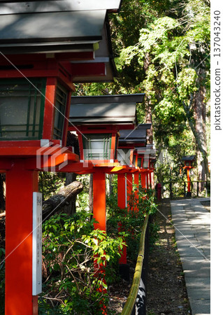 The approach to Kyoto's Kurama Temple with its vermilion lanterns 137043240