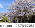 醍醐寺 137043368