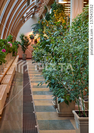 Long corridor in a botanical garden with variety of green plants in pots and arched wooden roof structure. Indoor orangery environment. Long corridor in a botanical garden with variety of green plants in pots and arched wooden roof structure. Indoor orangery environment. 137043582