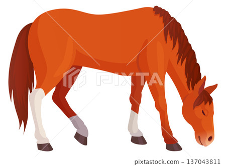 Wild pony. Cute brown animal cartoon icon 137043811