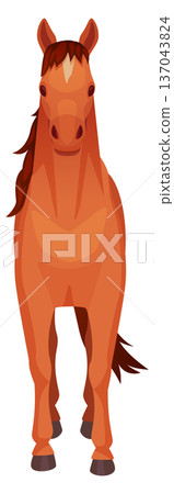 Horse front view. Standing farm animal icon Horse front view. Standing farm animal icon 137043824