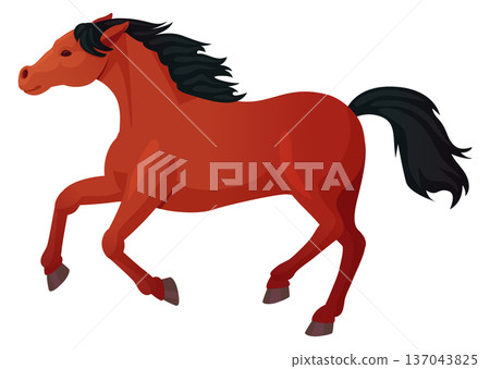 Arabian horse run. Animal race cartoon icon Arabian horse run. Animal race cartoon icon 137043825