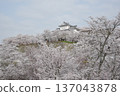 鶴山公園 137043878