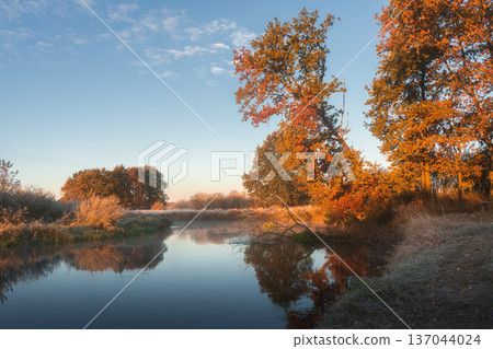 Autumn riverside at dawn. Mist floats among colorful wild trees, with clear morning sky. Peaceful, calm nature scene. Autumn riverside at dawn. Mist floats among colorful wild trees, with clear morning sky. Peaceful, calm nature scene. 137044024