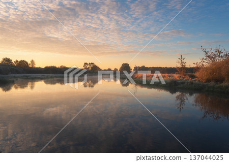 Early morning tranquility on an autumn river. A low-hanging mist drifts between vibrant, colorful trees, their reflections shimmering in the still water. Early morning tranquility on an autumn river. A low-hanging mist drifts between vibrant, colorful trees, their reflections shimmering in the still water. 137044025