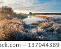 A scenic river landscape on a cold, frosty morning. Golden trees line the misty banks under a bright, sunny sky. 137044389