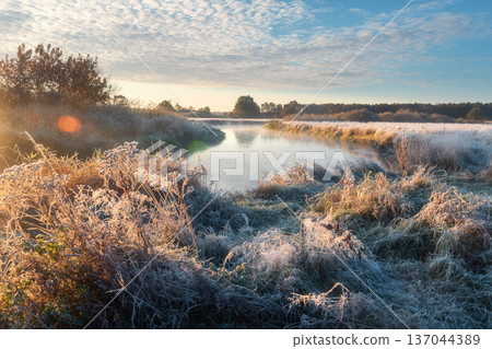 A scenic river landscape on a cold, frosty morning. Golden trees line the misty banks under a bright, sunny sky. A scenic river landscape on a cold, frosty morning. Golden trees line the misty banks under a bright, sunny sky. 137044389