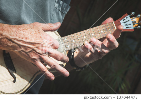 Senior Man Playing Ukulele in Sunlight Close Up 137044475