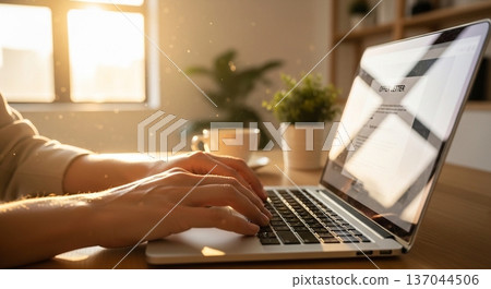 The hands of a business person operating a laptop in the office 137044506