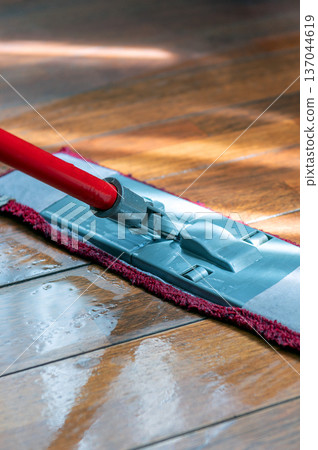 Mop washing a wooden floor in an apartment. Concept of care for the cleanliness of the apartment. 137044619