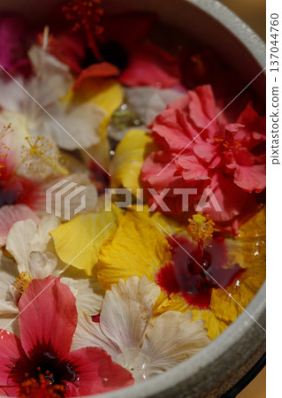 Colorful hibiscus floating in water, tropical flower background Colorful hibiscus floating in water, tropical flower background 137044760