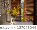 Mimosa branches in a clear glass vase on a table by sunlit wooden shutters, bright yellow blooms creating a cheerful easter or spring still life for a cozy interior 137045044