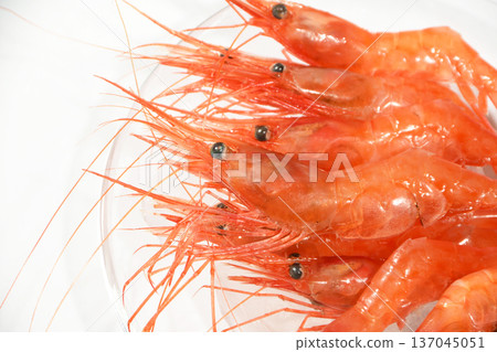 Fresh pink shrimp Fresh pink shrimp 137045051