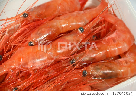 Fresh pink shrimp Fresh pink shrimp 137045054